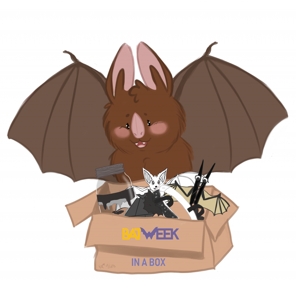 Bat week 2020 report - Healthy Wildlife - The blog of the CWHC